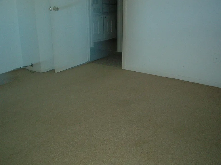 8464 Pineview Lake Ct — Photo 10