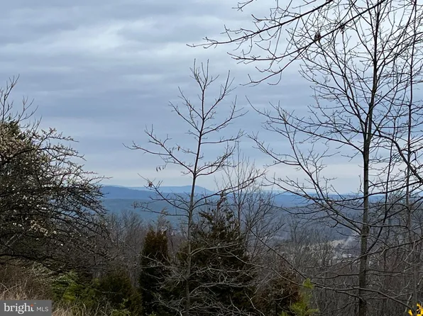 Falcon View Lot 23 Dr, Capon Bridge, WV 26711