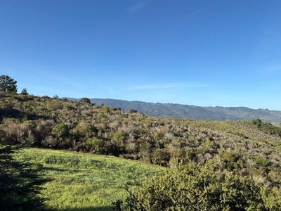 228 Crestview Dr, San Carlos, CA, 94070