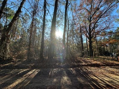 LOT 5 SAGGUS Road, Washington, GA, 30673