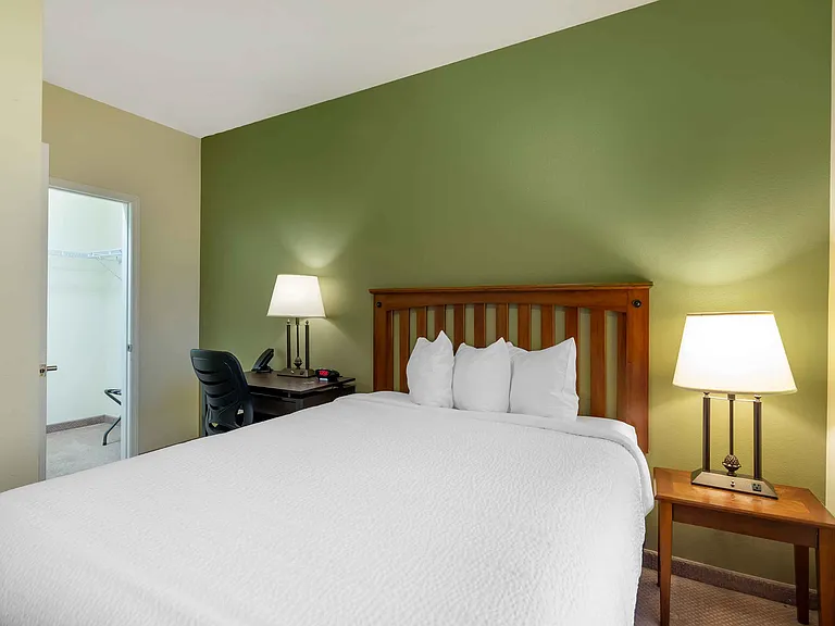 1 Bedroom Suite - 1 Queen Bed