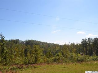 Scenic Hwy, Gadsden, AL 35904