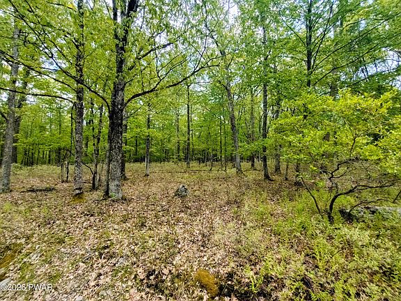 5th image of LOT 1622 Oneida Way