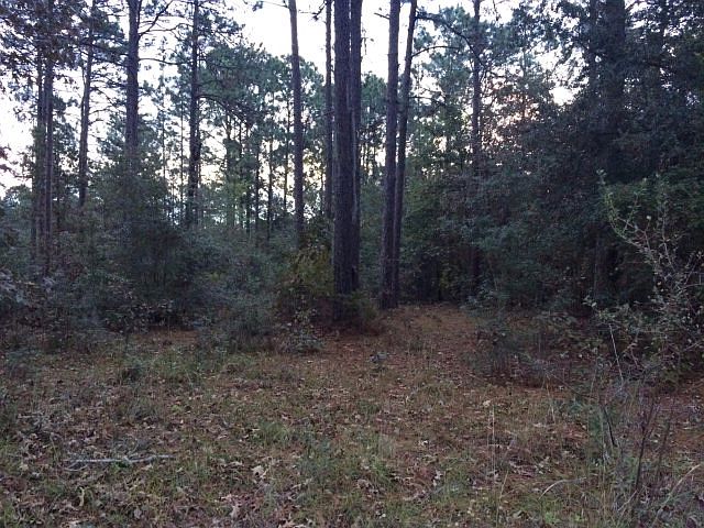 1st image of 2791 Martin Dr