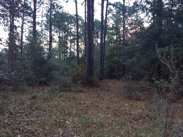 2791 Martin Dr, Donalsonville, GA 39845