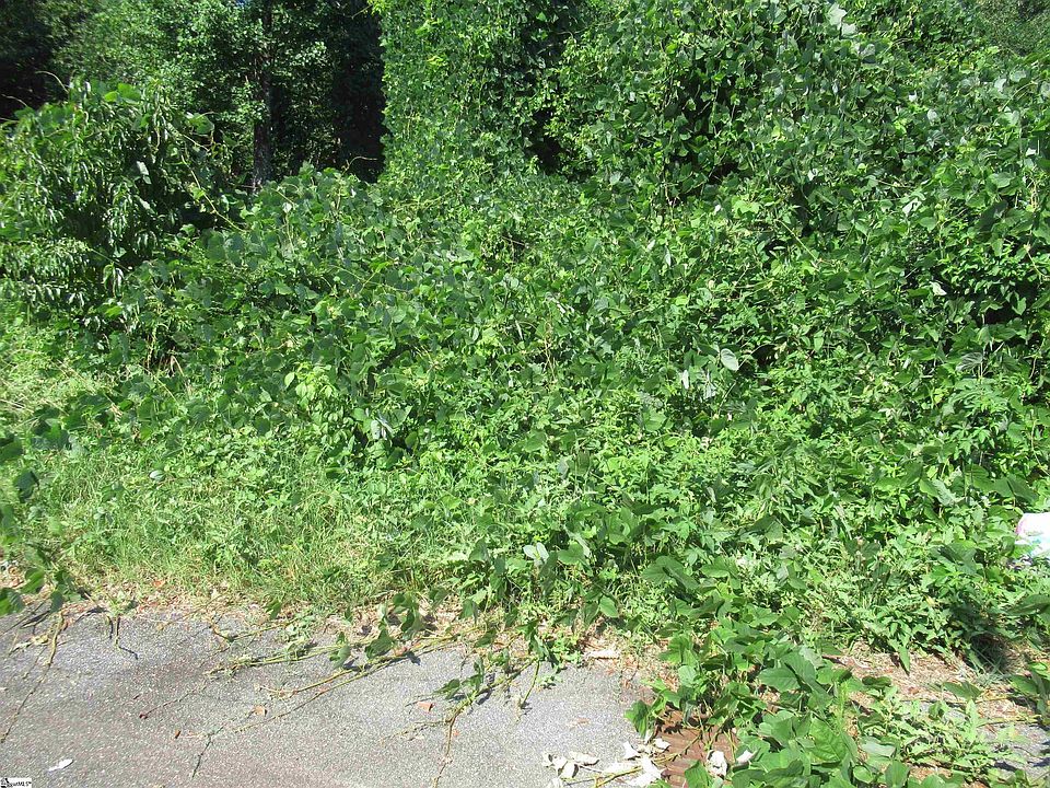 2nd image of 0 Old School House Rd