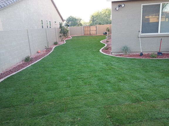 Large Lawn Area