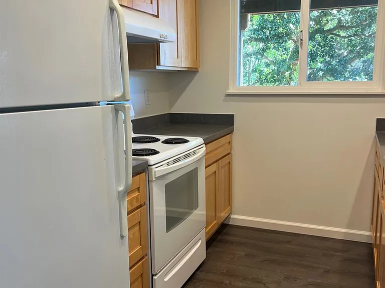 802 Spring St #A — Photo 15