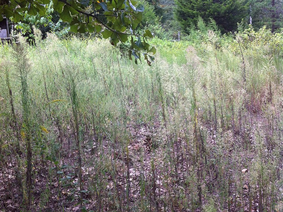 1st image of 2329 Shelby Ln