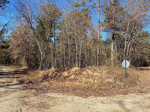 5th image of 95 Acres Tbd Bonanza Cutoff