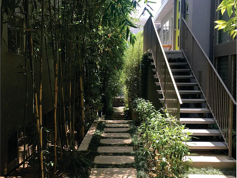 Bamboo Courtyard