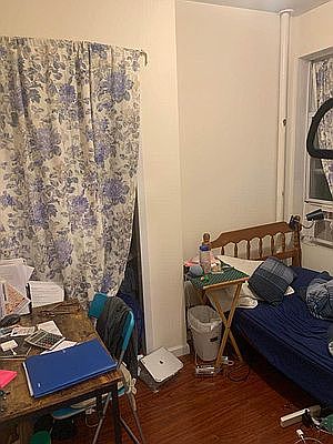 5th image of 519 E 12th St #15