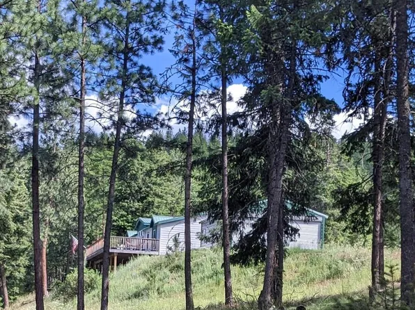 57 Mountain Rd, Plains, MT 59859