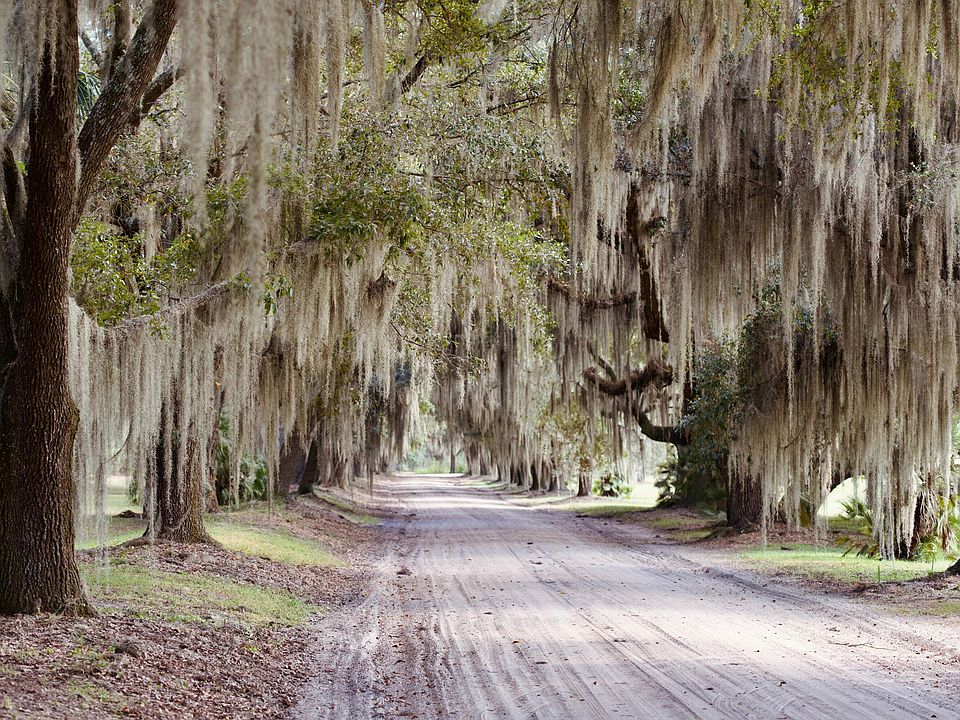 109th image of 1451 River Rd