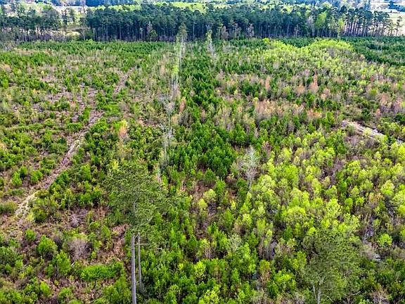 5th image of Jordan Rd