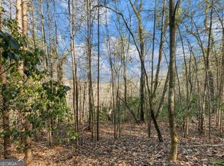 250 S Laceola Rd, Cleveland, GA 30528