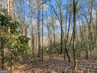 250 S Laceola Rd, Cleveland, GA, 30528