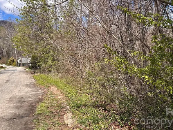 0 Lynnbrook Way, Columbus, NC 28722