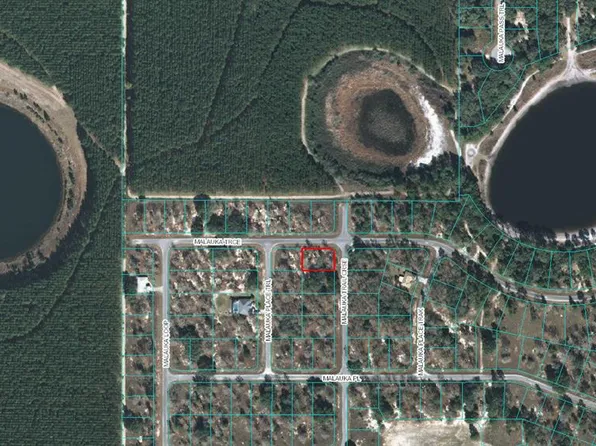 0 Malauka Trail Crse #8, Ocklawaha, FL 32179