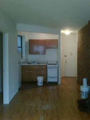Rented by Rent Manhattan | media 18