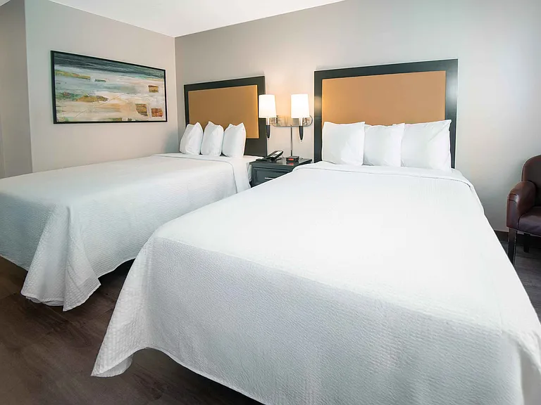 Studio Suite - 2 Queen Beds