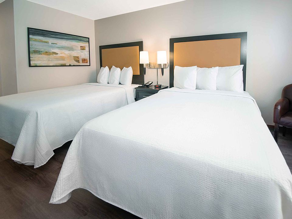 Deluxe Studio - 2 Full Beds