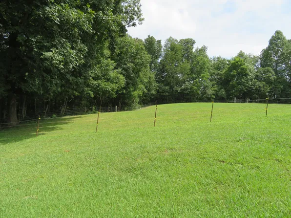 2517 Main St, Palmer, TN 37365