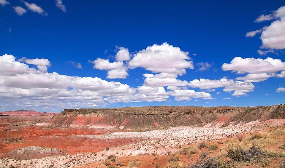 1st image of Petrified Forest Estate Amended #1