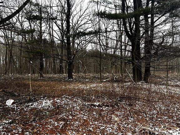 5th image of Mount Vista Rd