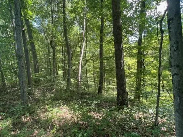 0 Thompson Ridge Rd, Laurelville, OH 43135