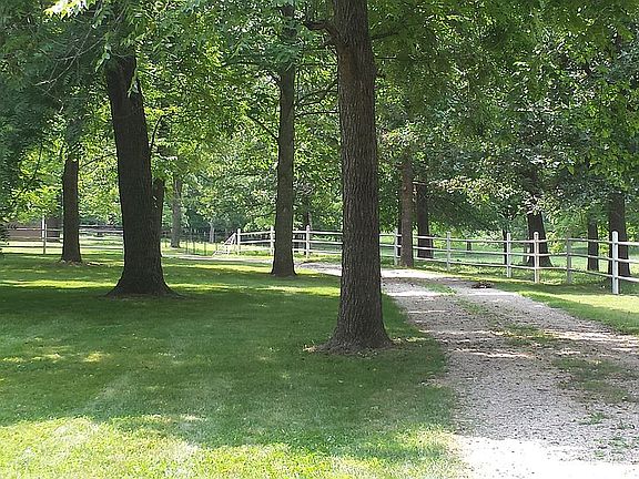 Driveway