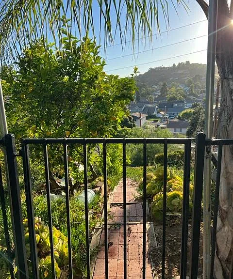 281 Dickenson Ave — Photo 12