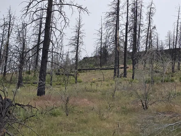 Oregon Pines Rd, Sprague River, OR 97639