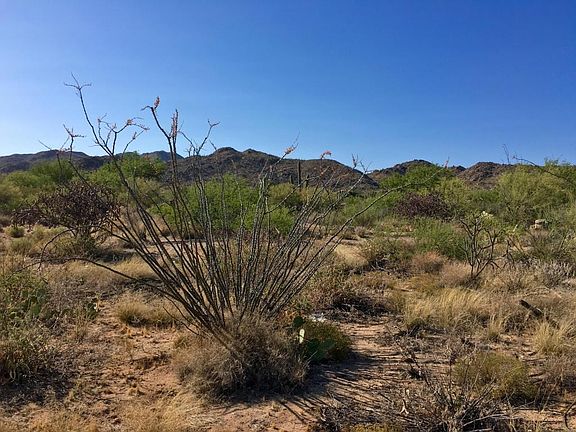 4th image of 946 W Tortolita Mountain Cir