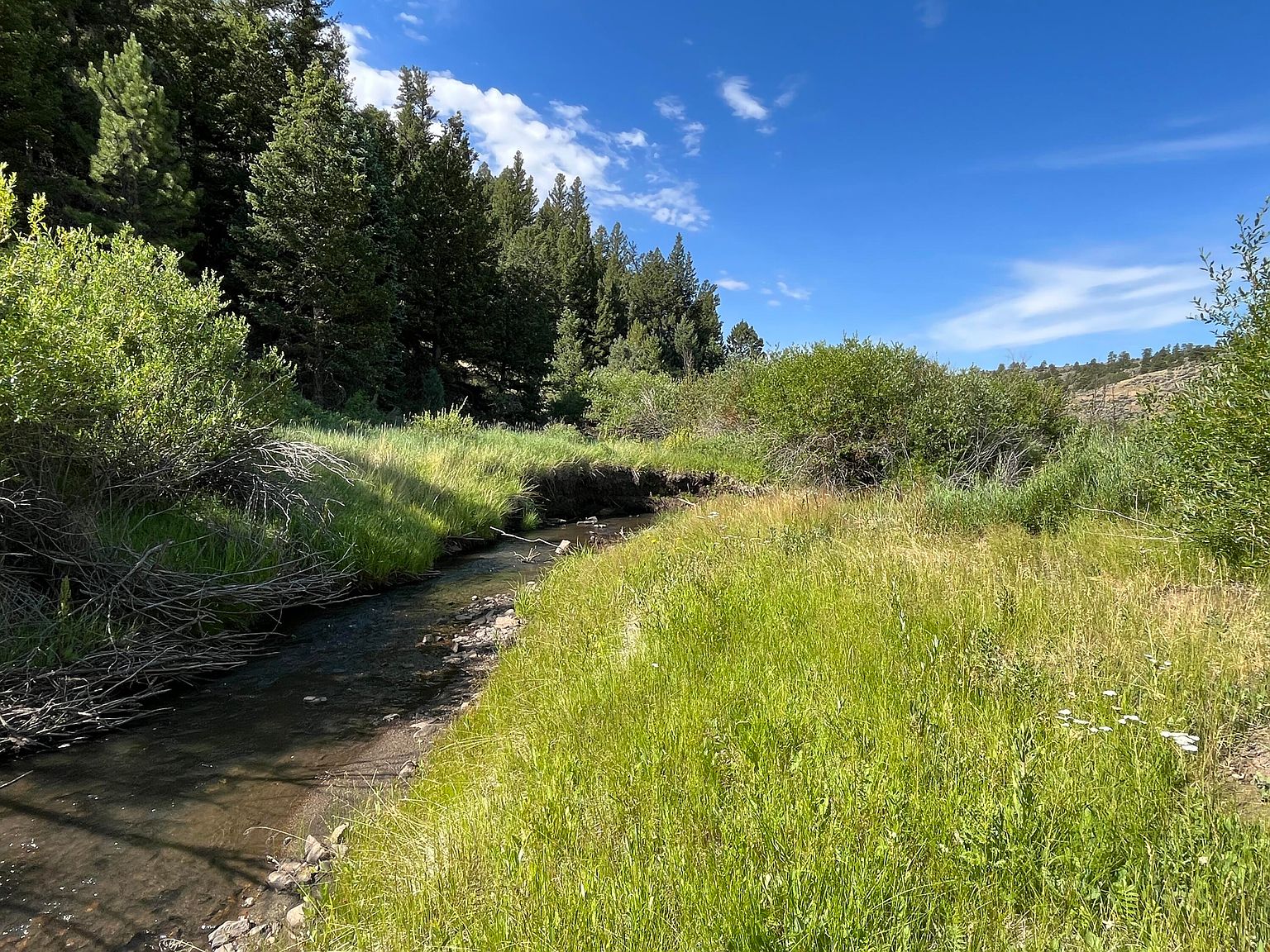 Forbes Wagon Creek Rnch LOT 143, Fort Garland, CO 81133 Zillow