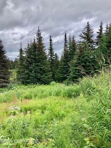 500 Westwood Ave, Homer, AK, 99603