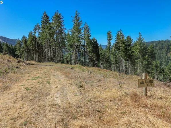 0 Osprey Dr, Umpqua, OR 97486