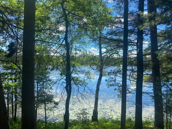 6 Little Pond Ln, Minocqua, WI 54548