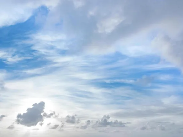 15200 County Road 63 N, Carbon Hill, AL 35549