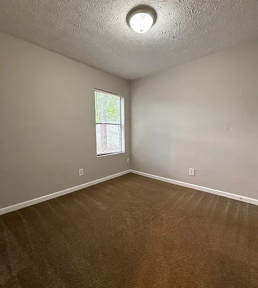 3862 Shane Ct — Photo 13