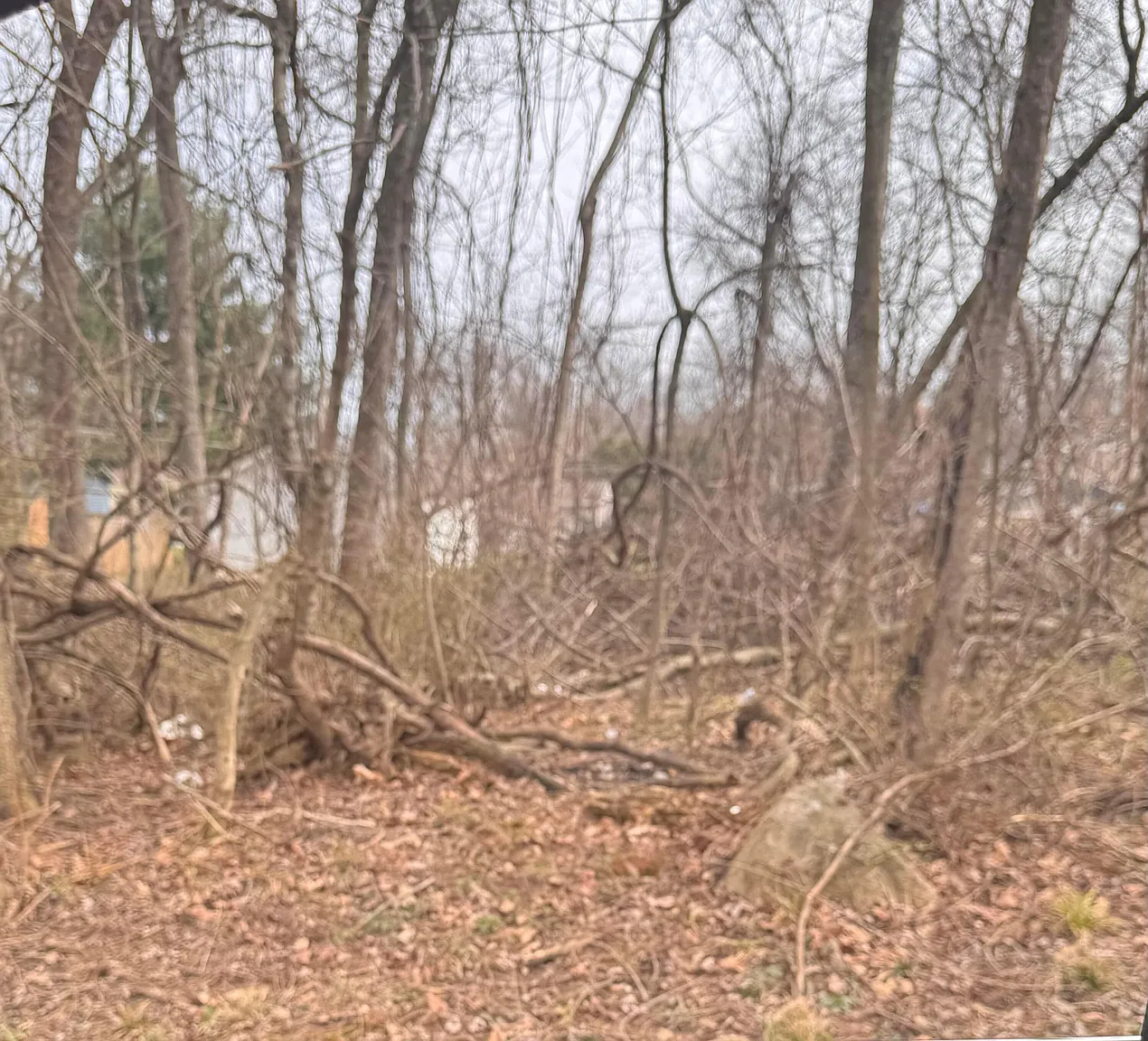 0 King Rd NE #461039700 photo 1