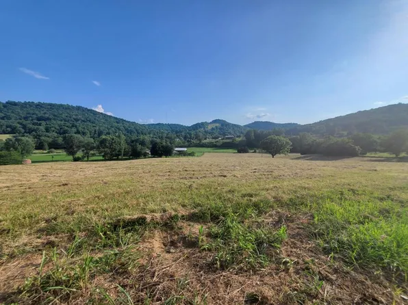 0 Wilkerson Hollow Ln Lot 3, Brush Creek, TN 38547