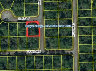 1101 Hale St, Labelle, FL 33935