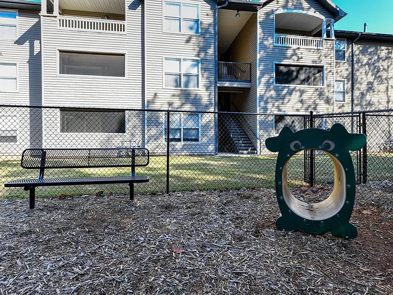 The Palmer — Photo 16