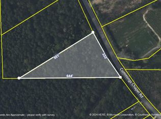 392 Cummings Chapel Rd, Ridgeville, SC 29472