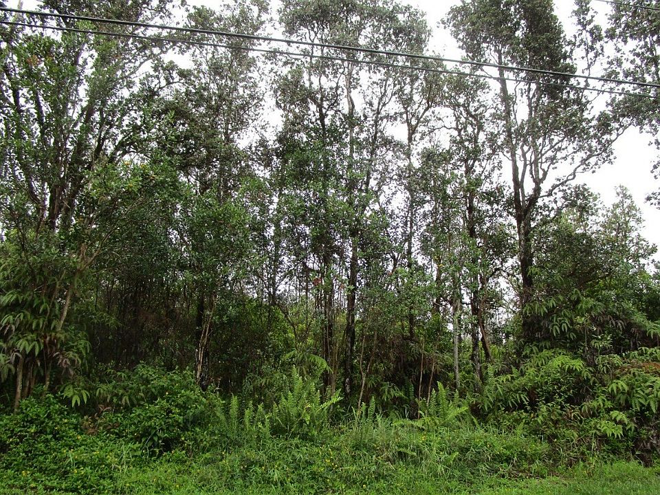1st image of Plumeria St Lot 6286