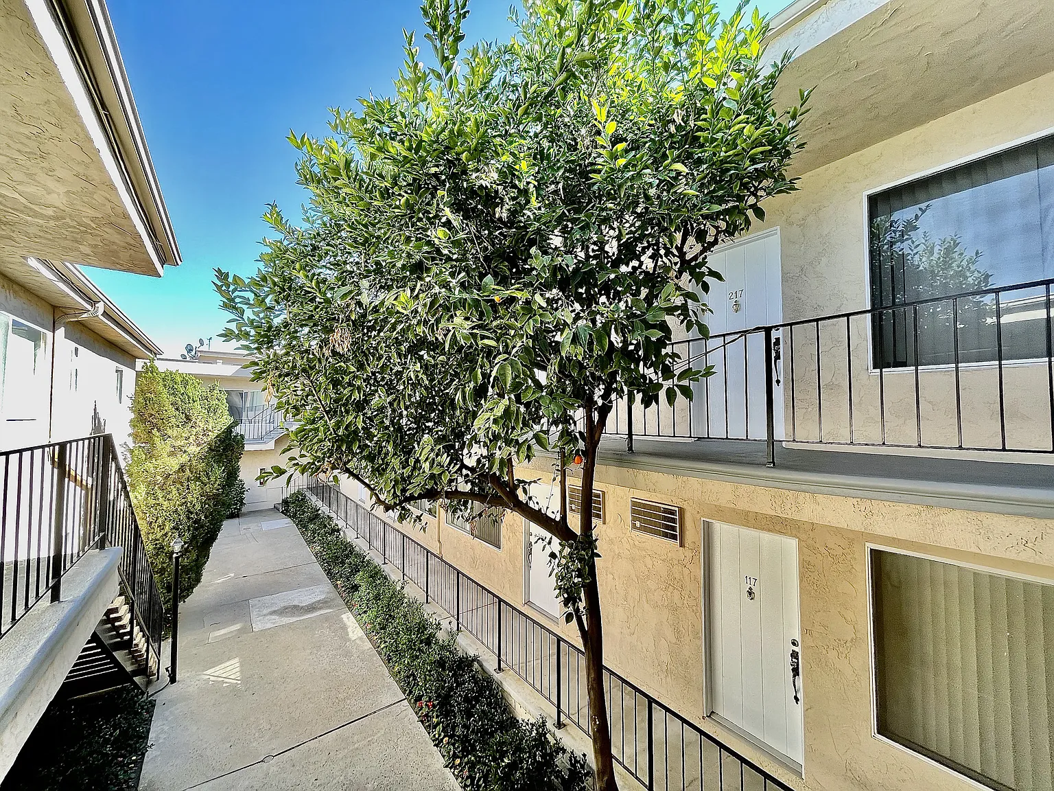Encino Town & Country — Photo 4
