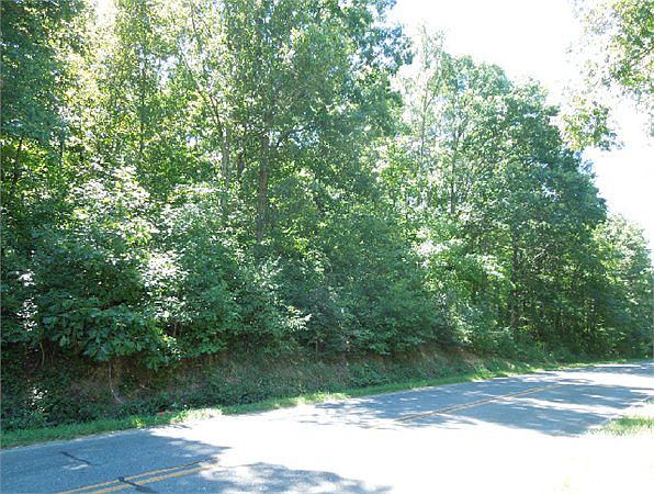 2nd image of 232 Pee Dee Rd