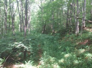 0 Tannies Trl SE, Floyd, VA 24091