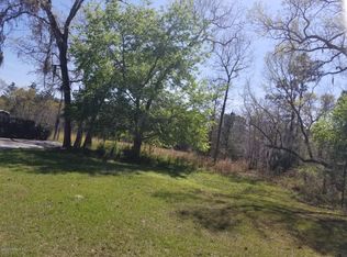 3545 Trail Ridge Rd, Middleburg, FL 32068